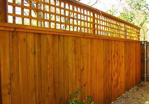 Fencing & Automatic Gate Installation in Round Rock Texas